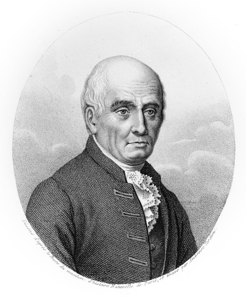 Detail of Portrait of Michel Adanson by Anonymous