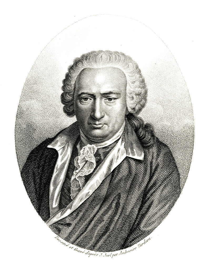 Detail of Portrait of Charles Bonnet by Anonymous