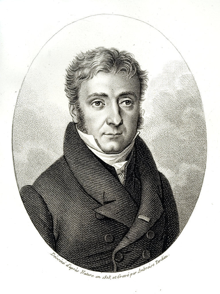 Detail of Portrait of Pierre Louis Dulong by Anonymous