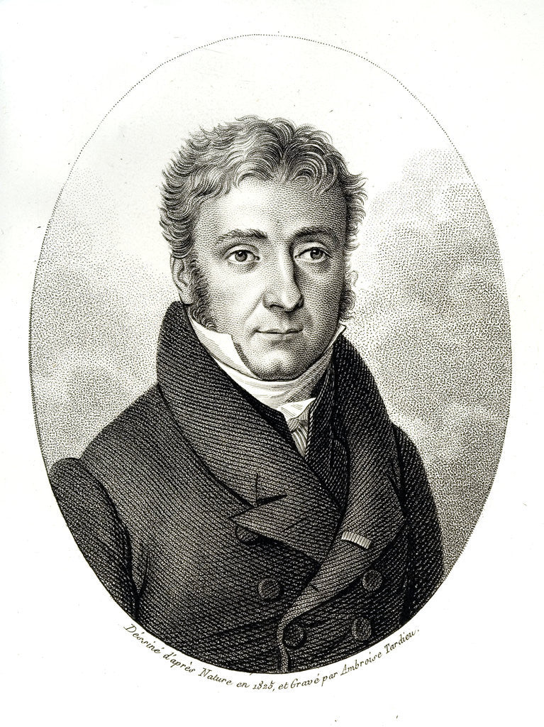 Detail of Portrait of Pierre Louis Dulong by Corbis