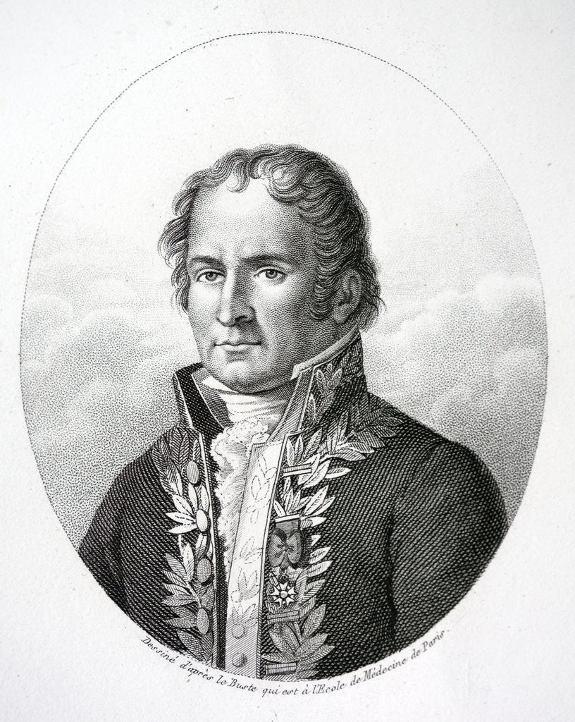 Detail of Portrait of Antoine Francois, Comte de Fourcroy by Anonymous