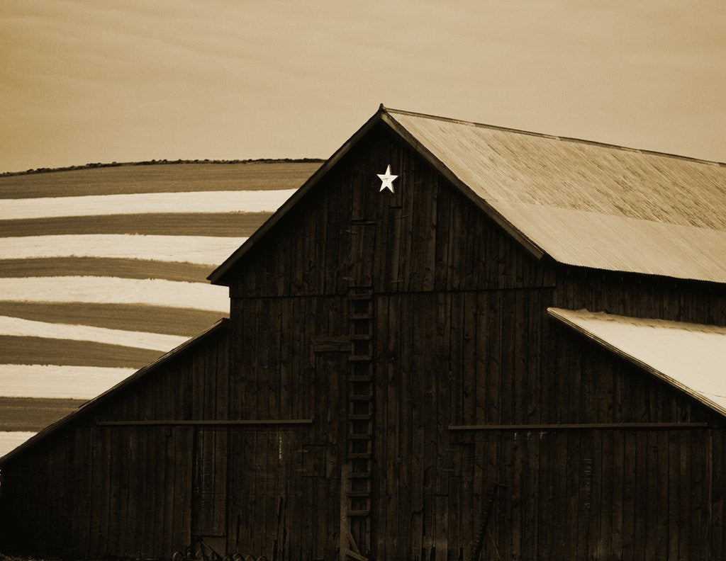 Detail of Old Barn with Star by Tom Marks