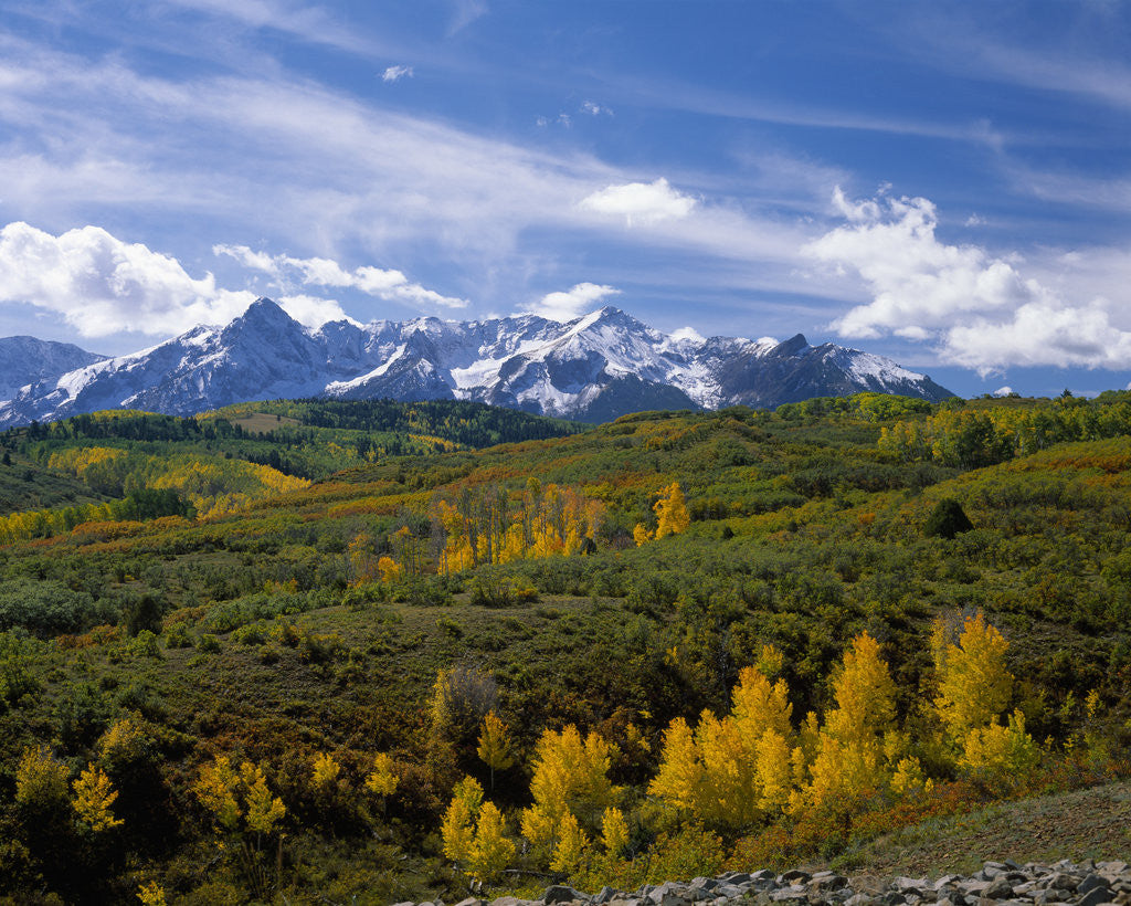 Detail of Autumn in the San Juan Mountains by Anonymous