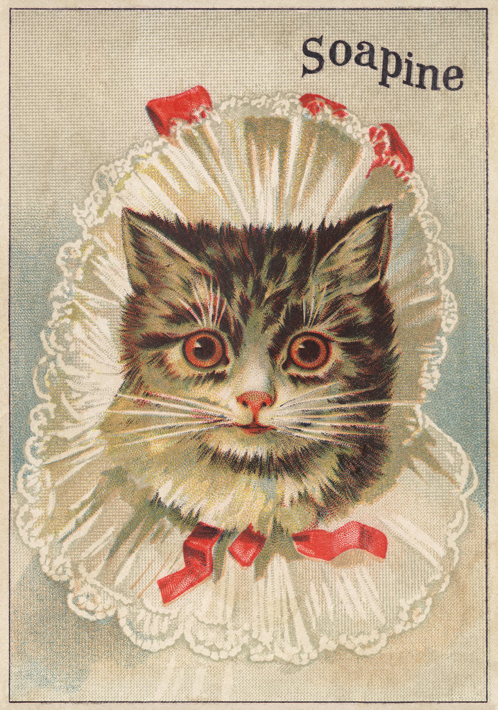 Detail of Soapine Trade Card with Kitten in Baby Clothes by Anonymous