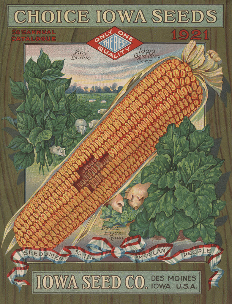 Detail of Calendar Illustration of Corn by Corbis