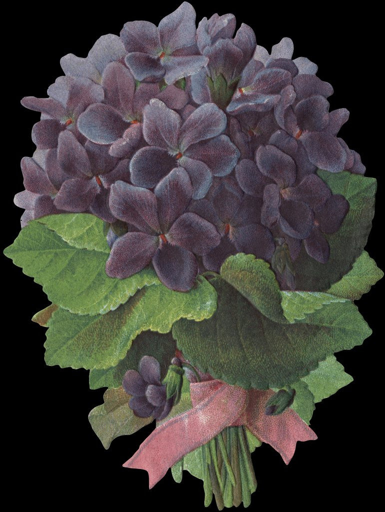 Detail of Die-Cut Scrap of Violet Bouquet by Corbis
