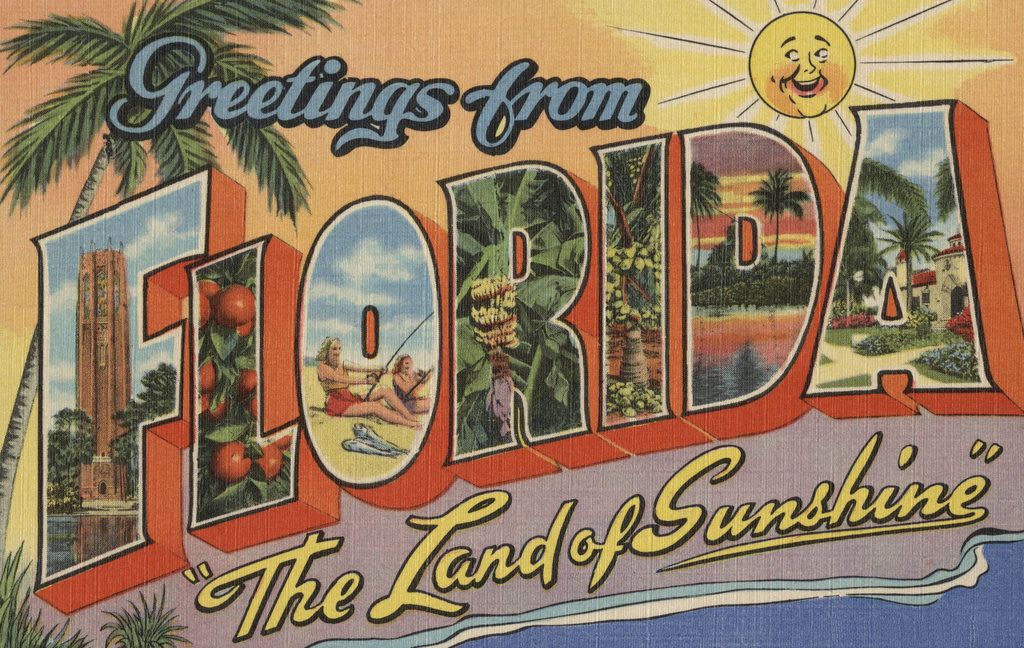 Detail of Greetings from Florida Postcard by Anonymous
