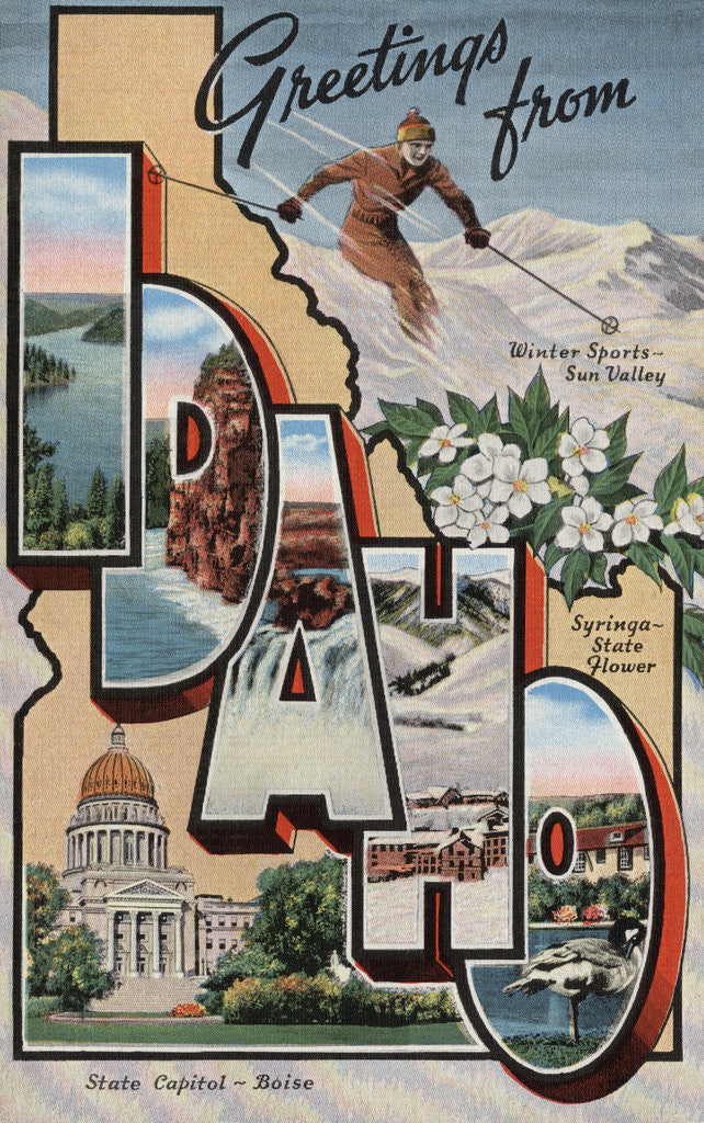 Detail of Greetings from Idaho Postcard by Anonymous