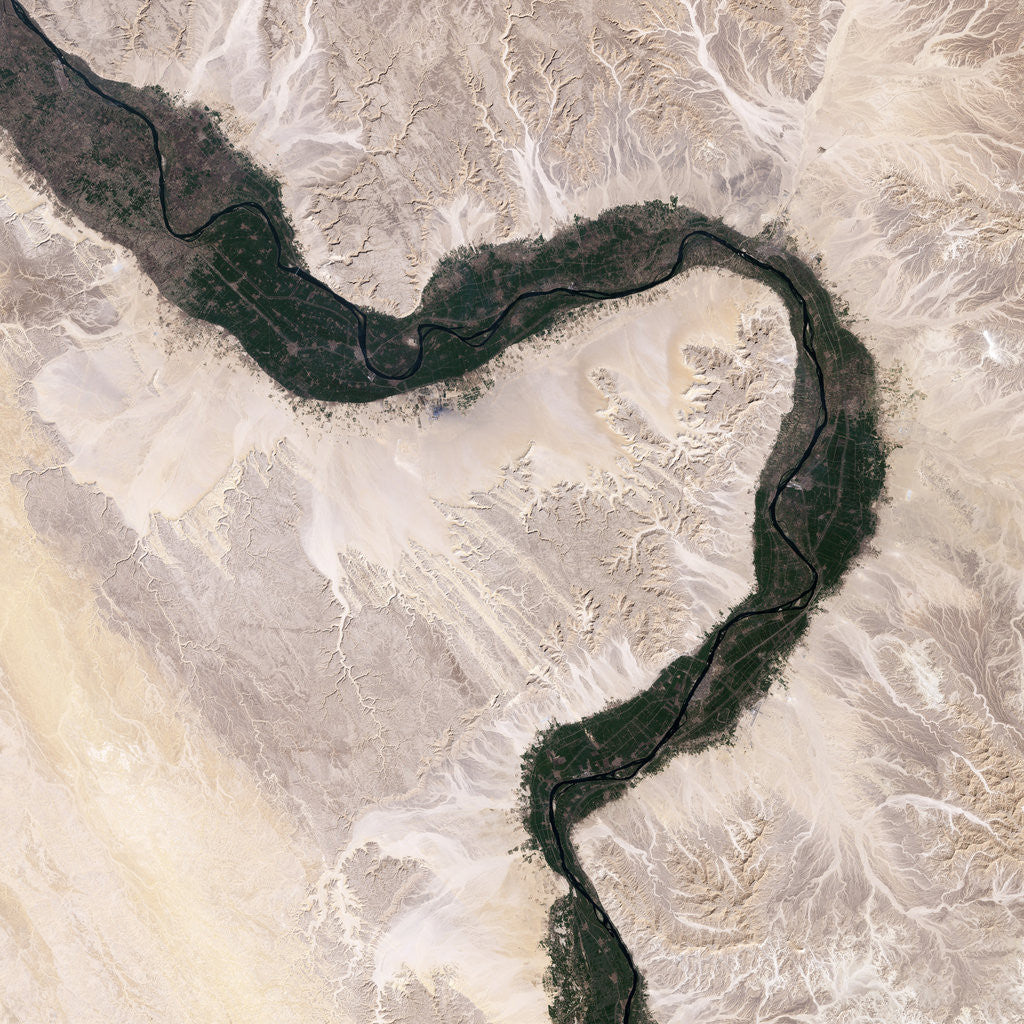 Detail of Bend in the River Nile by Anonymous