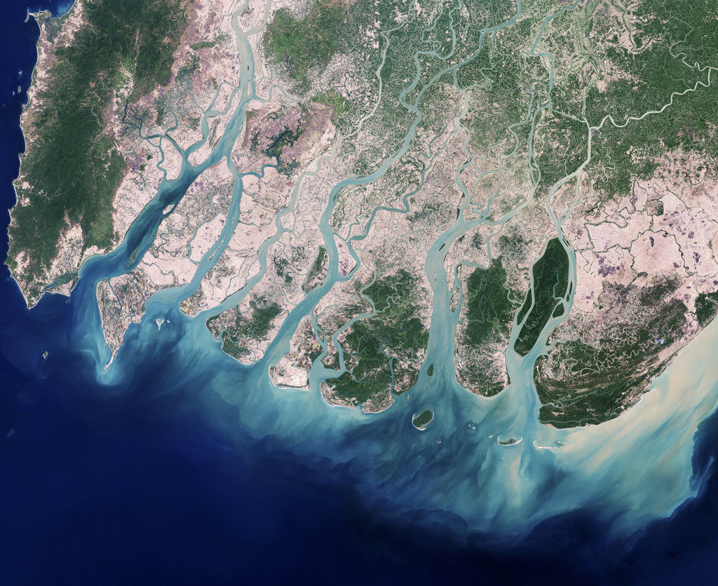 Detail of Erosion Due to Clearing of Mangrove Forests in the Irrawaddy River Delta by Anonymous
