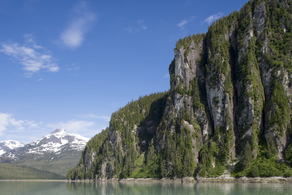 Detail of Steep Cliffs Along Snettisham Bay in Alaska by Anonymous