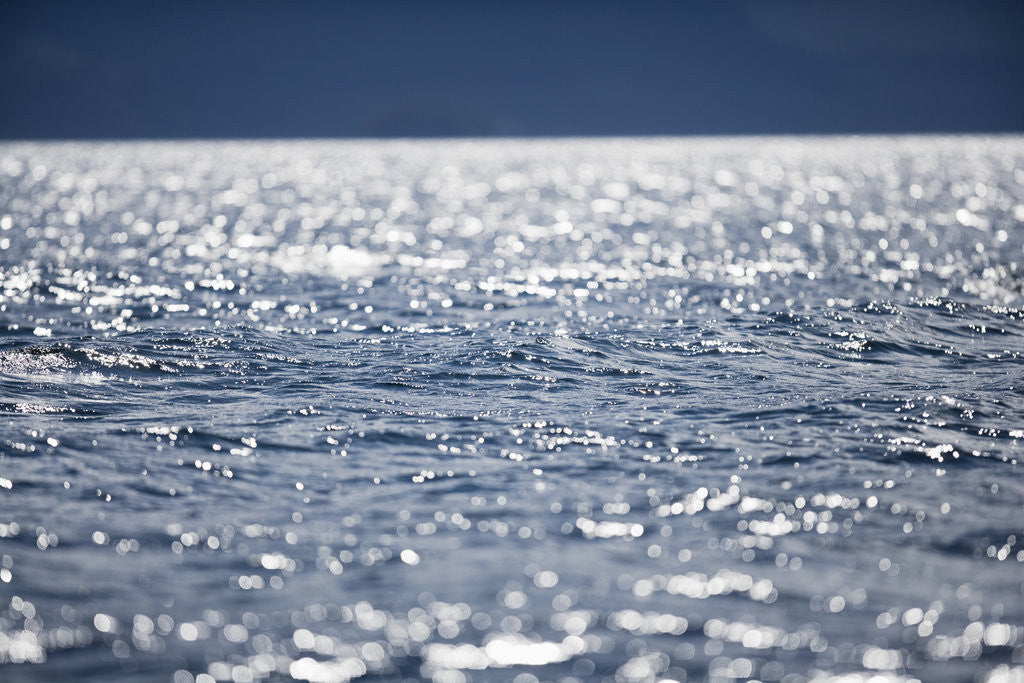 Detail of Sunshine on Pacific Ocean in Alaska by Anonymous