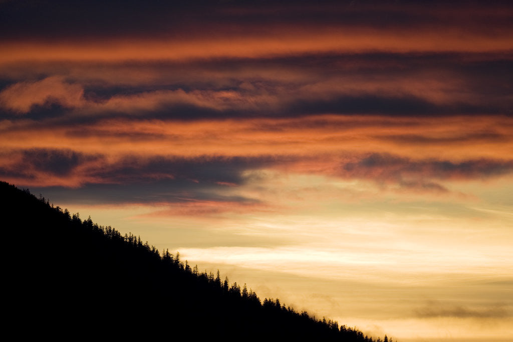 Detail of Sunset Above Tenakee Inlet in Alaska by Anonymous