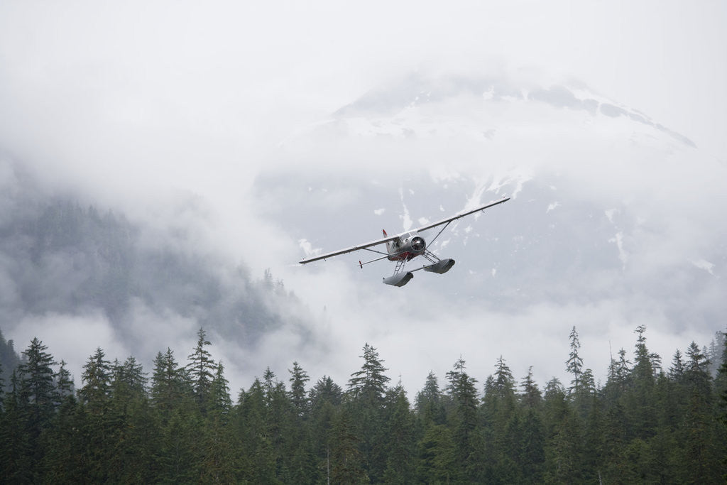 Detail of Floatplane above Rainforest in Misty Fjords National Monument by Anonymous