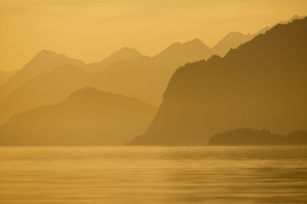 Detail of Glacier Bay National Park at Sunset by Corbis