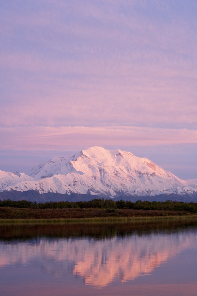 Detail of Mount McKinley at Sunset in Denali National Park by Anonymous
