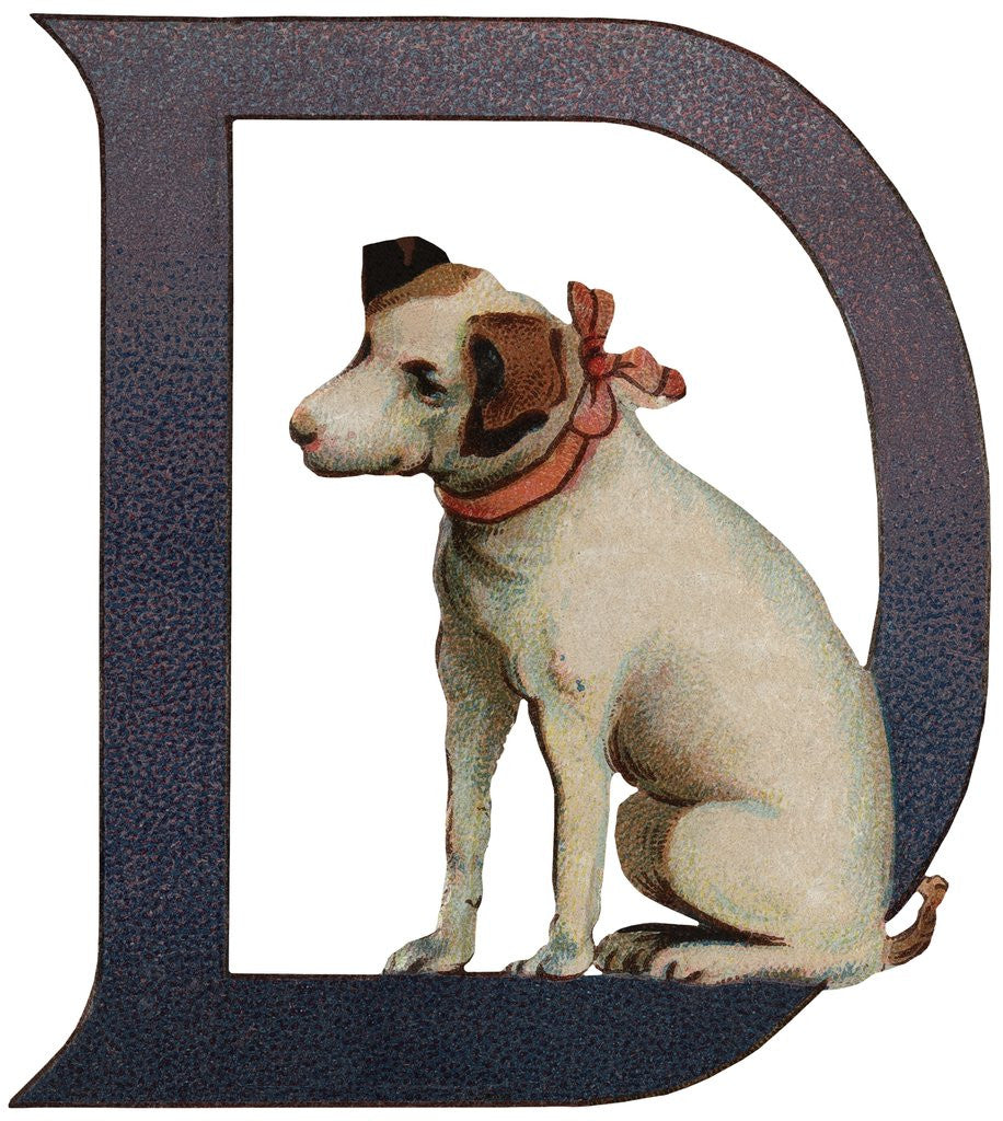 Detail of D Is For Dog Illustration by Corbis