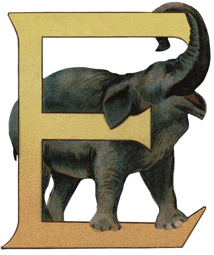 Detail of E Is For Elephant Illustration by Anonymous