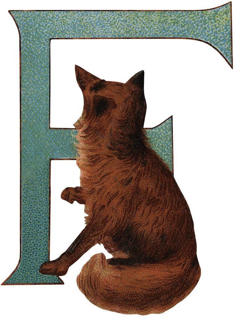 Detail of F Is For Fox Illustration by Anonymous