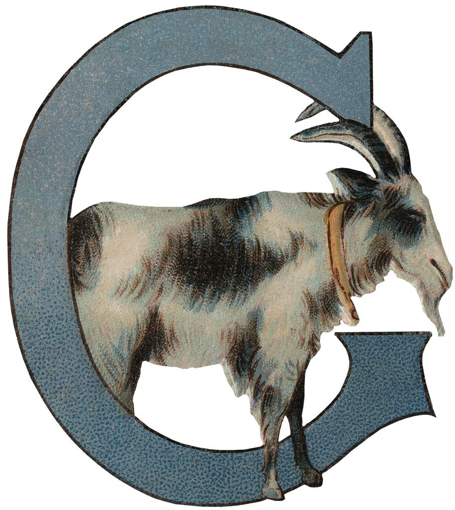 Detail of G Is For Goat Illustration by Corbis