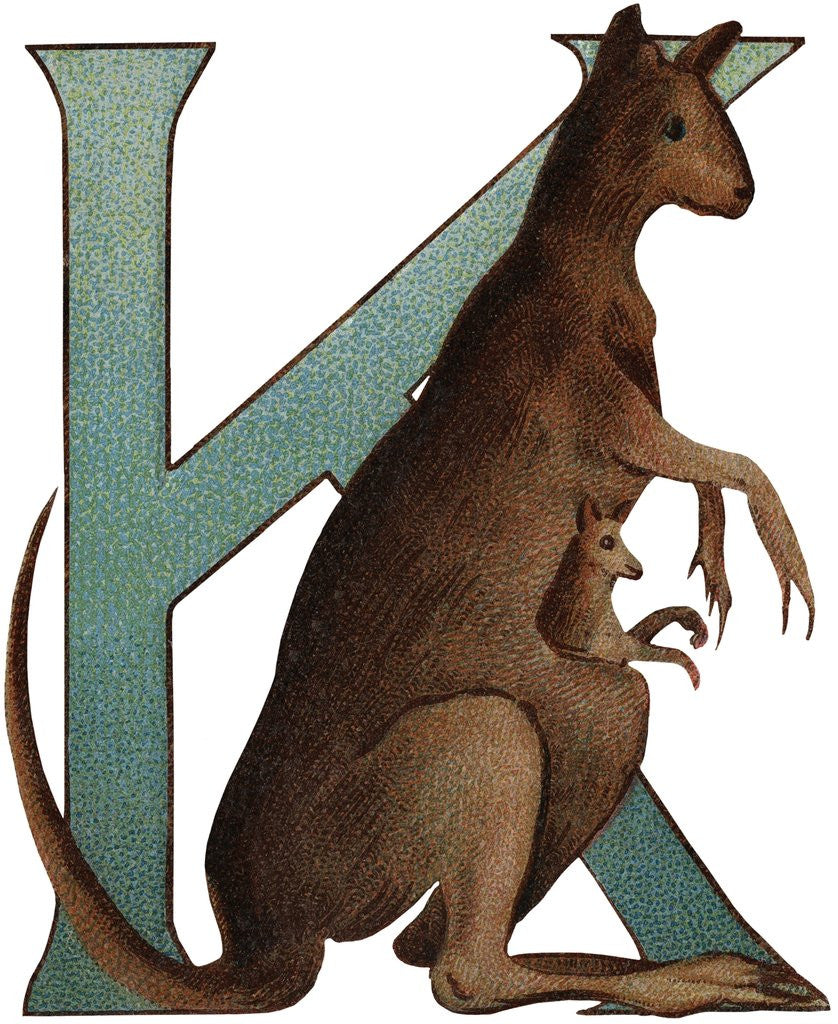 Detail of K Is For Kangaroo Illustration by Anonymous