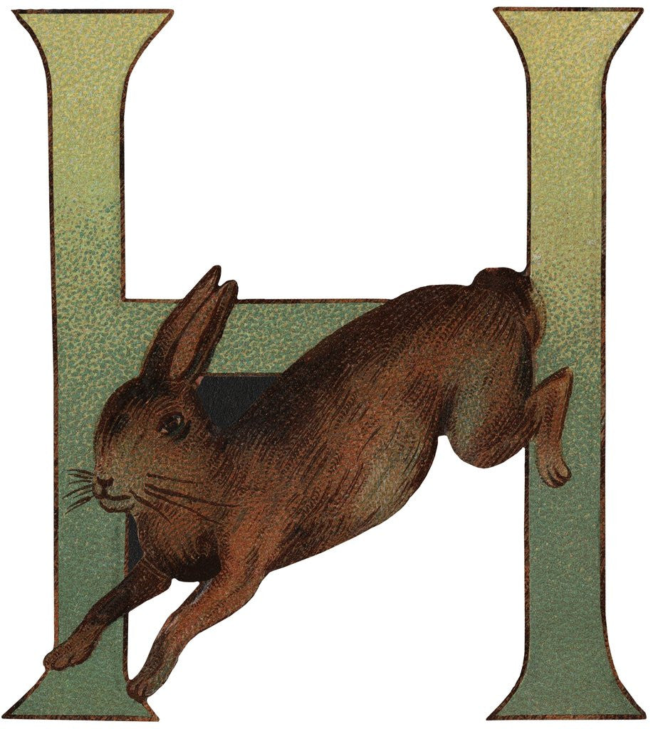 Detail of H Is For Hare Illustration by Anonymous