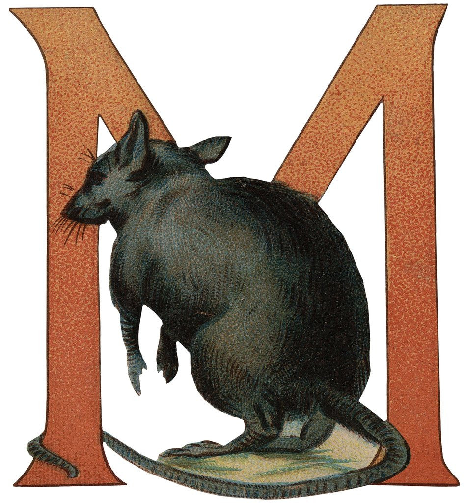Detail of M Is For Mouse Illustration by Anonymous