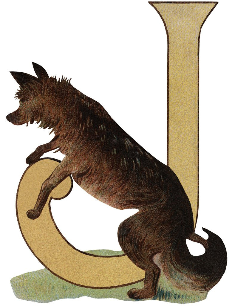 Detail of J Is For Jackal Illustration by Anonymous