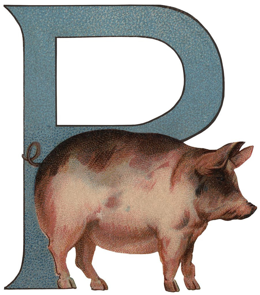 Detail of Pig Is For Pig Illustration by Anonymous