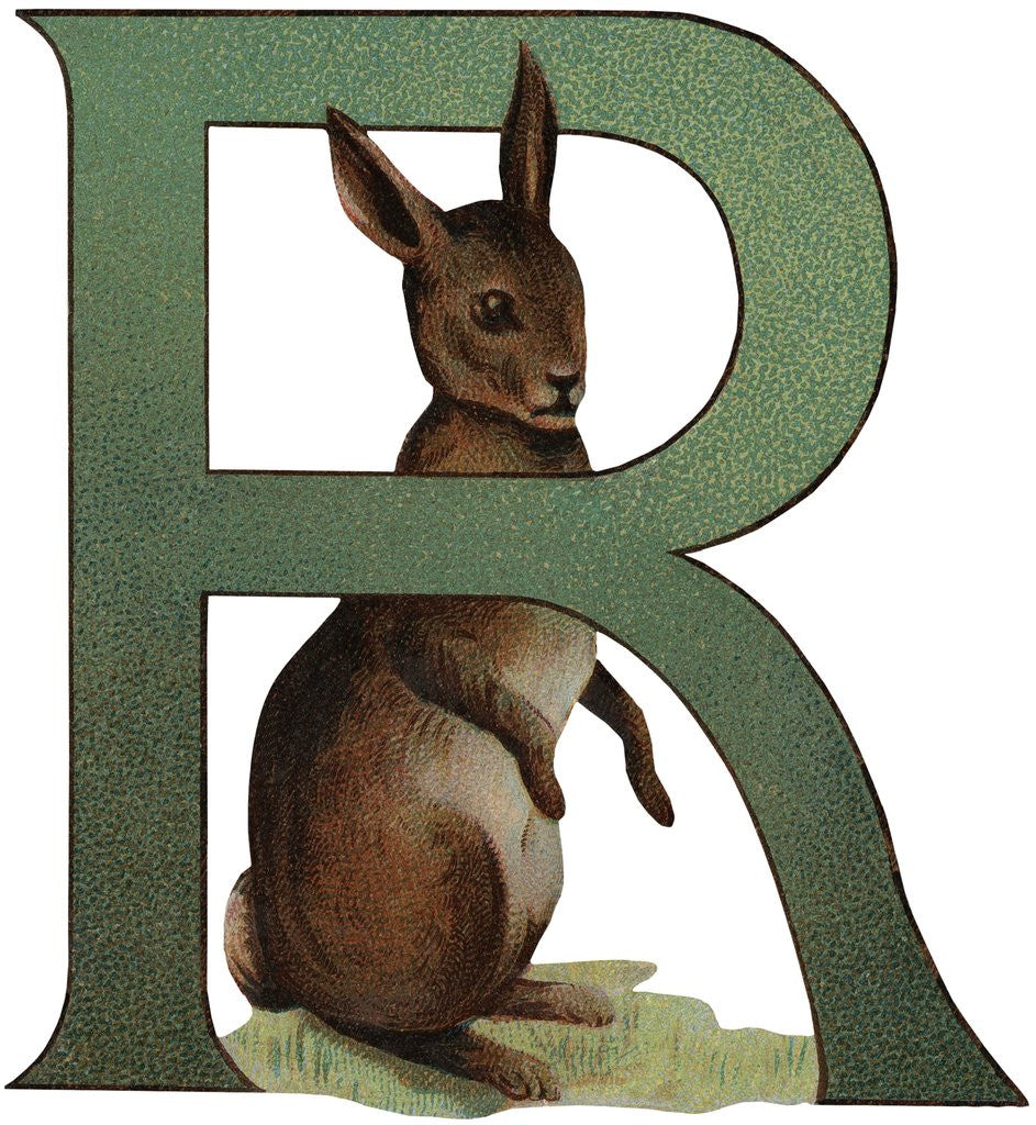 R Is For Rabbit Illustration posters & prints by Anonymous