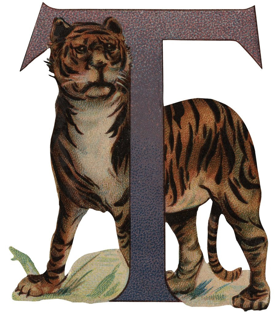 Detail of T Is For Tiger Illustration by Anonymous