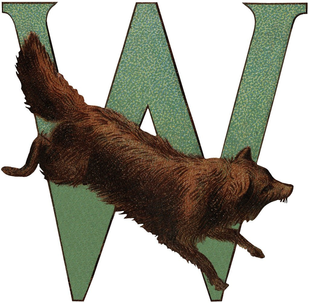 Detail of W Is For Wolverine Illustration by Anonymous