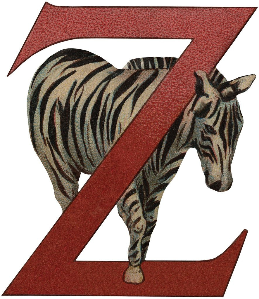 Detail of Z Is For Zebra Illustration by Anonymous