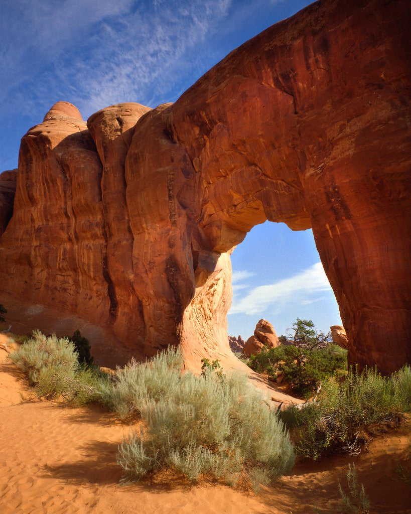 Detail of Pine Tree Arch in Arches National Park by Corbis