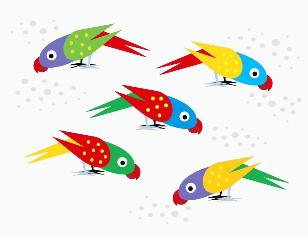 Detail of Five parrots pecking birdseed by Anonymous