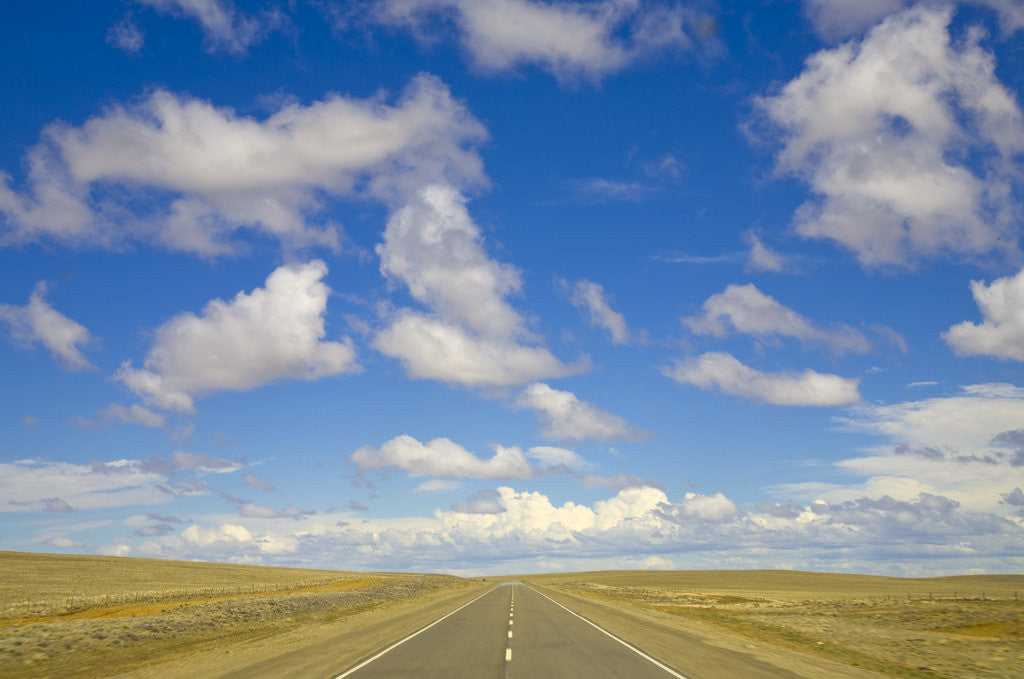 Detail of Paved Highway across Pampas by Anonymous
