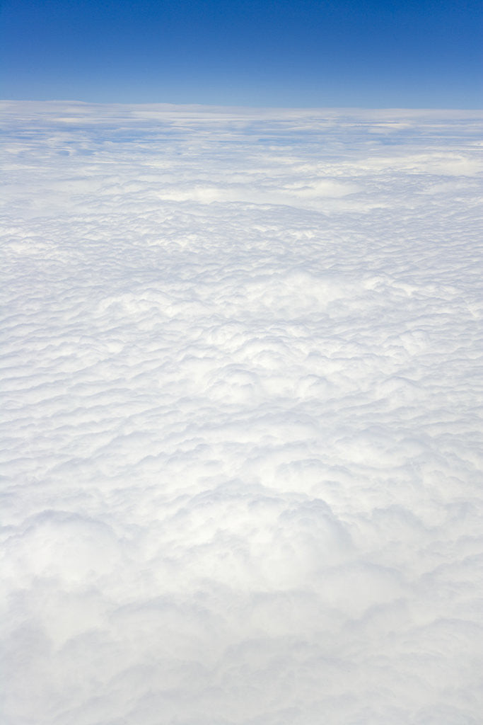 Detail of White Cumulus Clouds by Anonymous