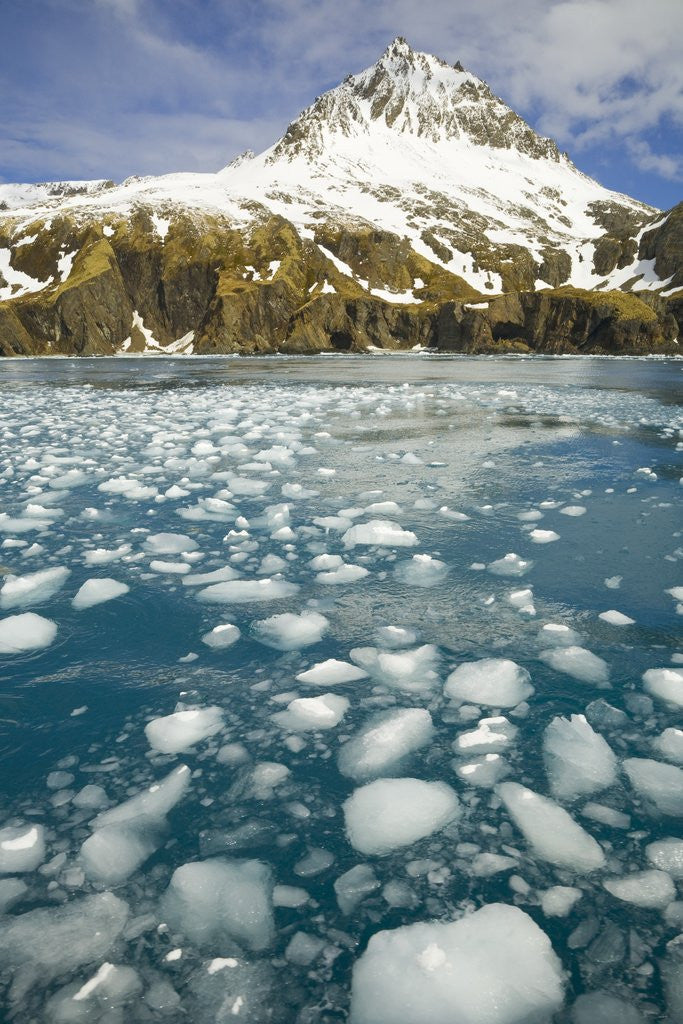 Detail of Ice Chunks From Twitcher Glacier Below the Salvesen Range by Corbis