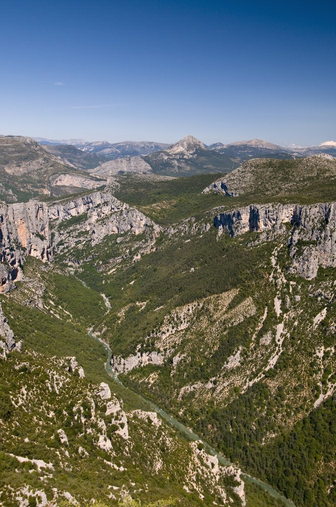 Detail of Gorges du Verdon in the Provence Alps by Anonymous