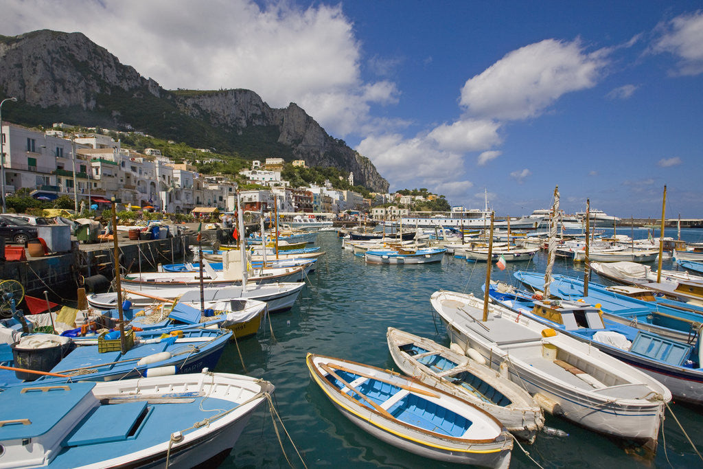 Detail of Port and Village of Marina Grande by Anonymous