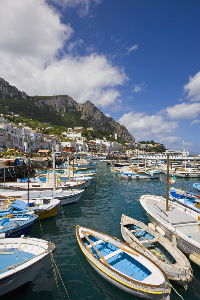 Detail of Port and Village of Marina Grande by Anonymous