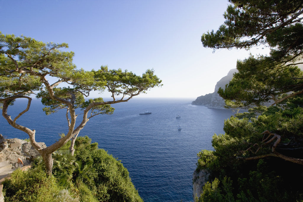 Detail of View from Belvedere di Tragara on Capri by Anonymous