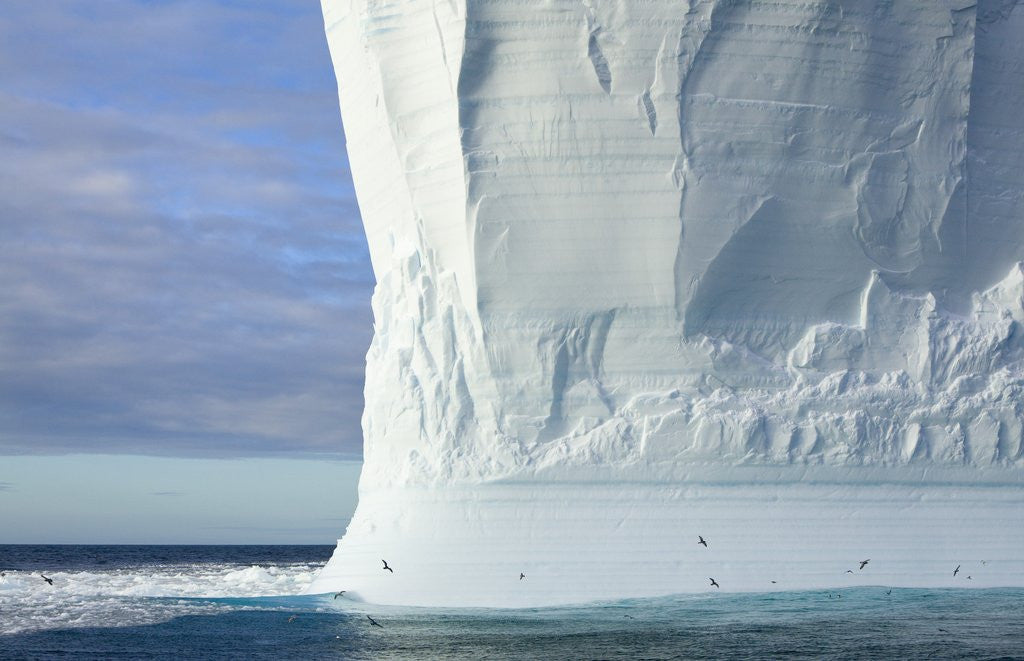 Detail of Massive Tabular Iceberg Sculpted by Waves by Corbis