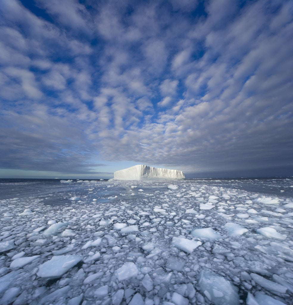 Detail of Blue Tabular Iceberg Sculpted by Waves by Anonymous