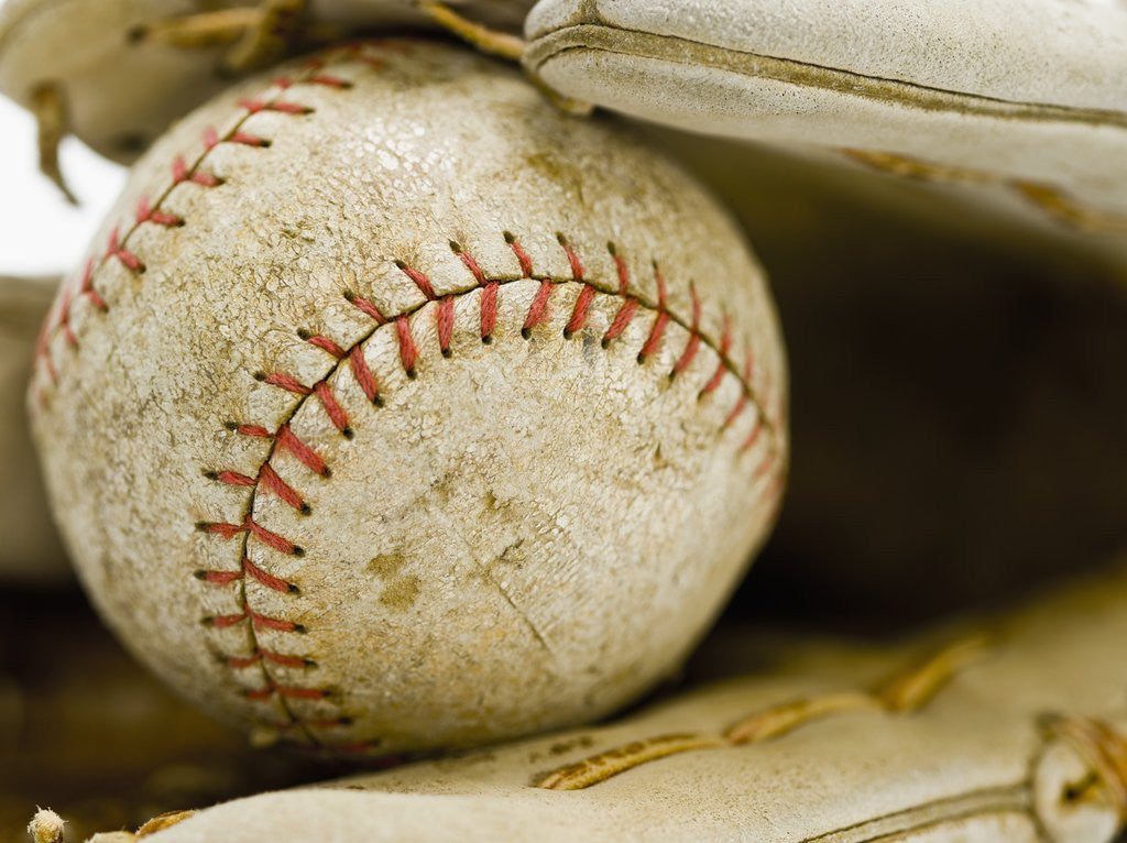 Detail of Baseball in Baseball Glove by Anonymous