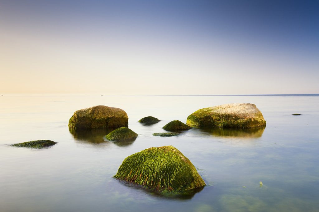 Detail of Rocks in Shallow Water of Baltic Sea by Anonymous