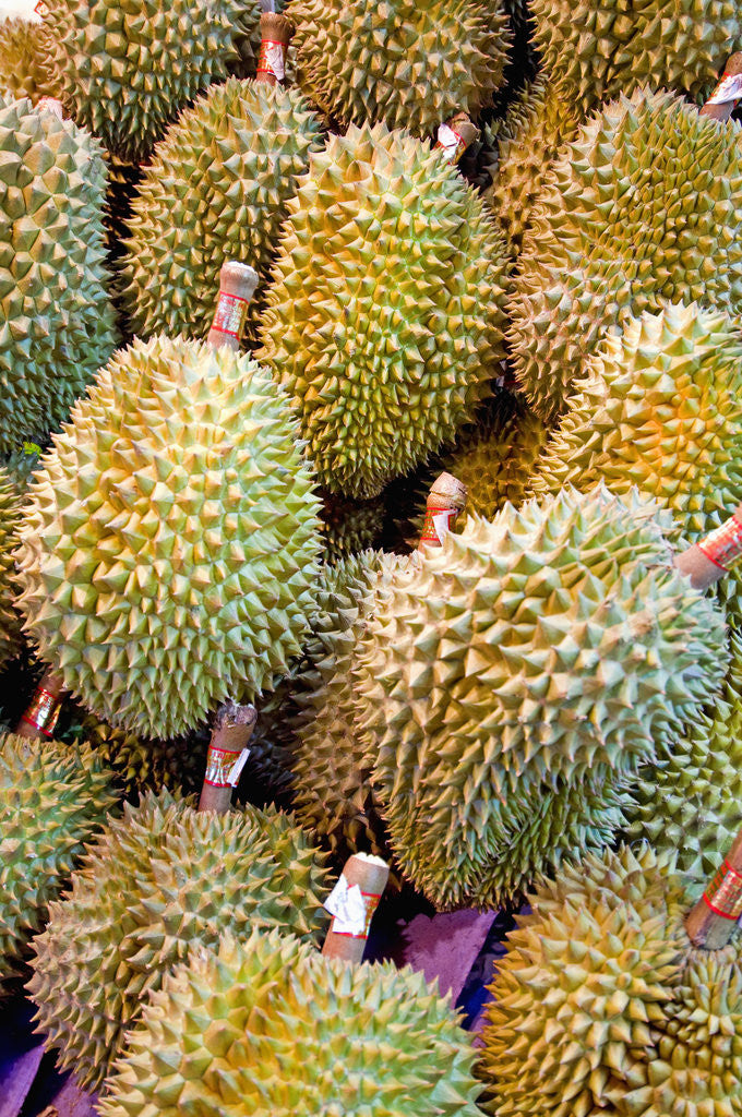 Detail of Durian at Tai Po Market in Hong Kong by Anonymous
