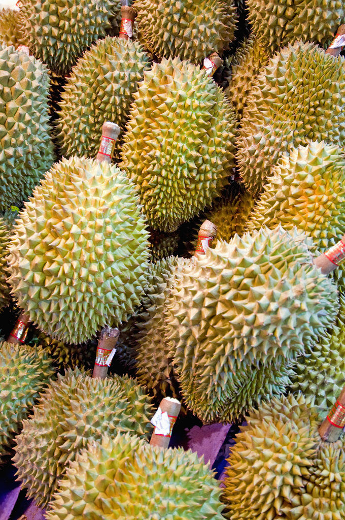 Detail of Durian at Tai Po Market in Hong Kong by Corbis