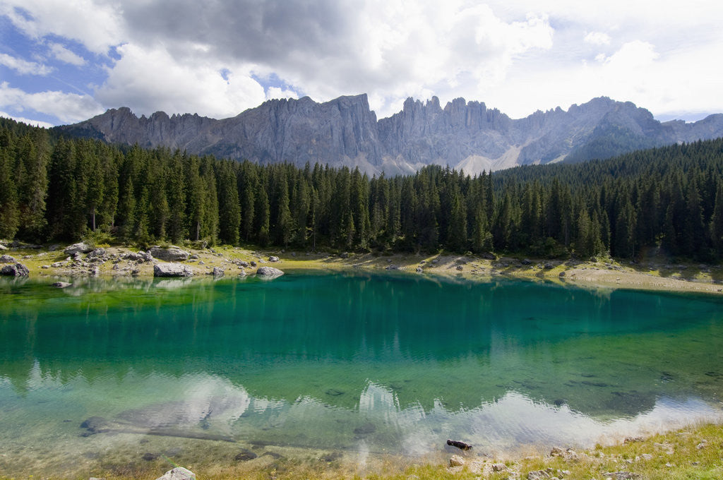 Detail of Lago di Carezza by Anonymous
