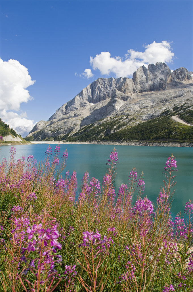Detail of Fedaia Lake and Marmolada by Anonymous